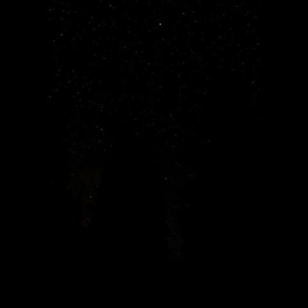 Meet your Posher, Lizeth